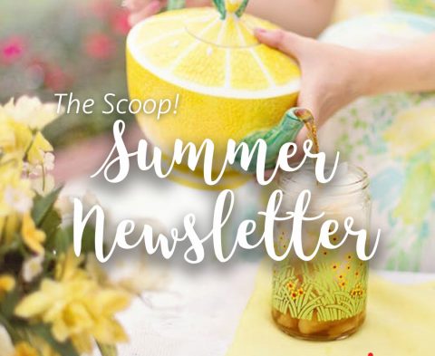 the-scoop-summer